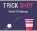 TRICK SHOT - WORLD CHALLENGE